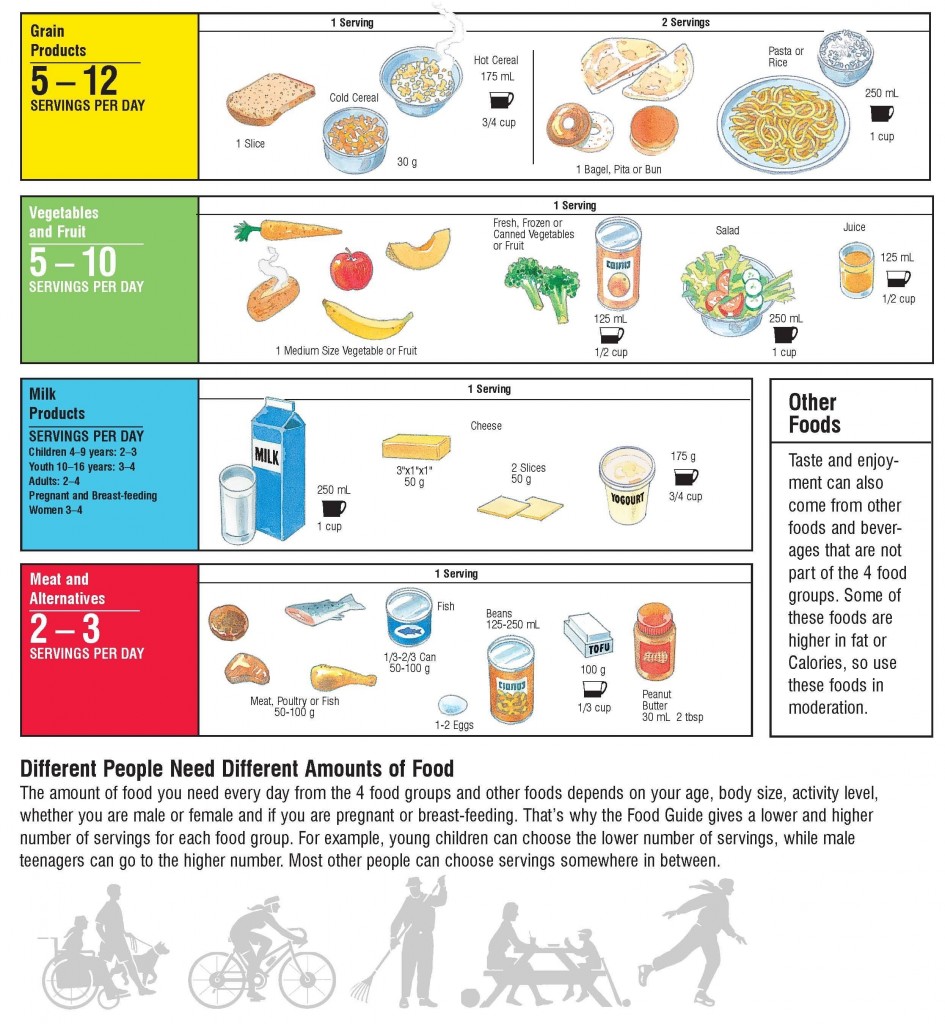 Canada Food Guide Checklist