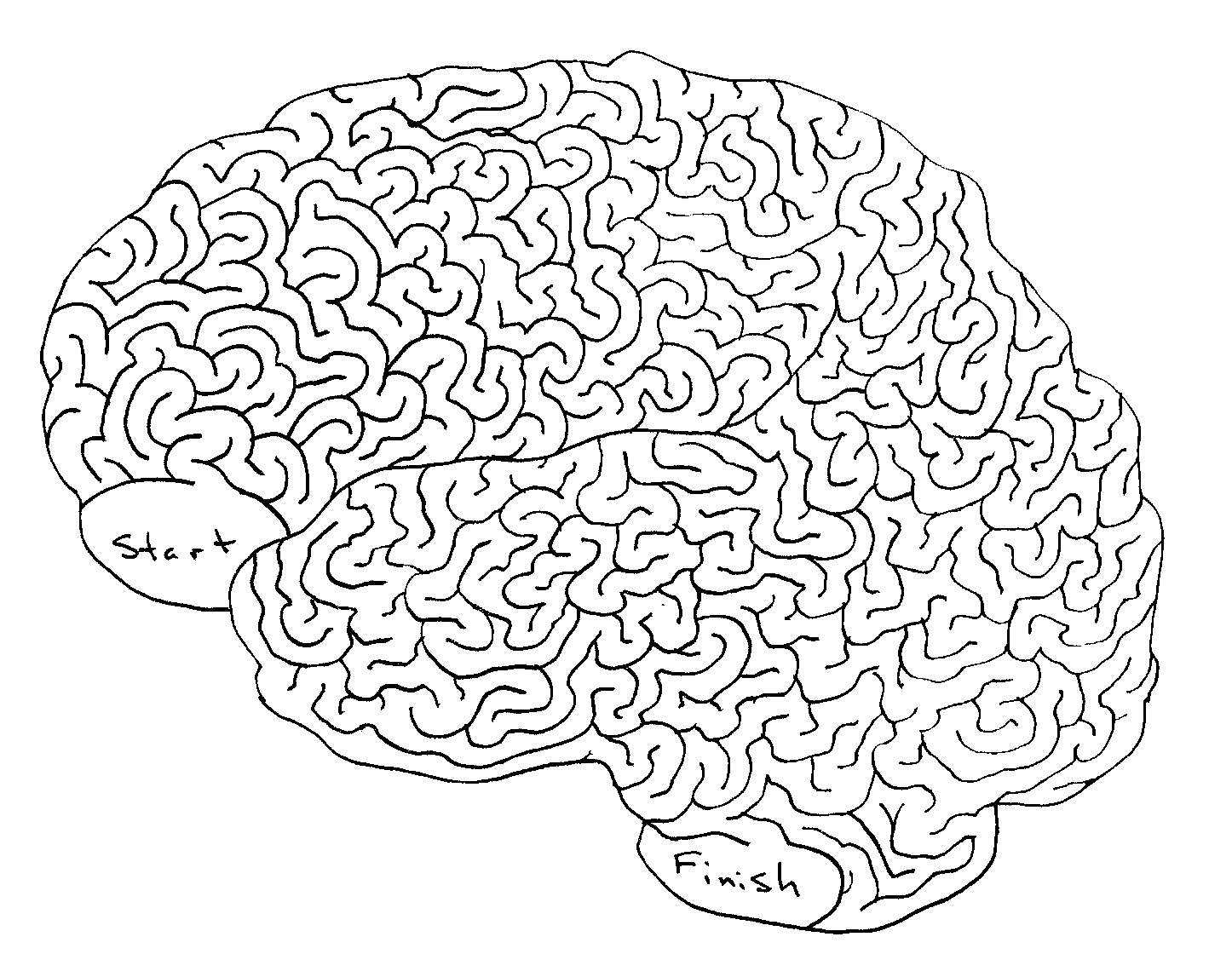 Brain Maze Powell River Brain Injury Society