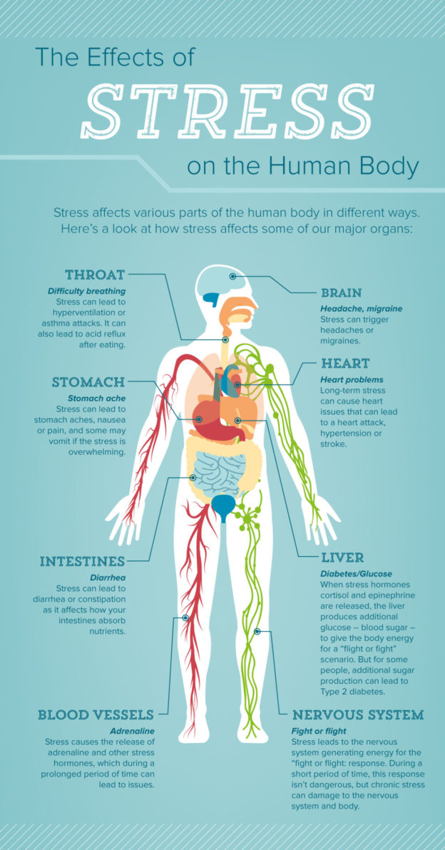 Stress – Powell River Brain Injury Society